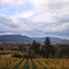 Exploring British Columbia’s Geographical Indications: A Guide for Wine Professionals