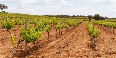 Central and Southern Spain: History, Revival, and Innovation