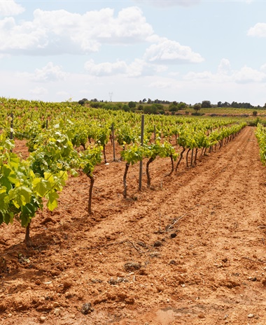 Central and Southern Spain: History, Revival, and Innovation