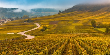 An Introduction to the Côte d’Or: Land, Geology, and Climate