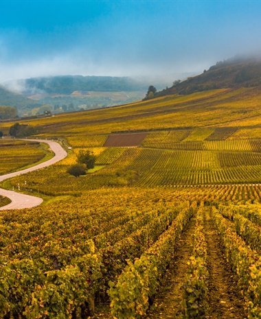 An Introduction to the Côte d’Or: Land, Geology, and Climate