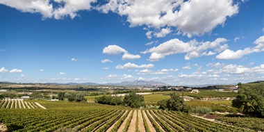 Four Years Later, Premium Cava Is Still Making Its Case