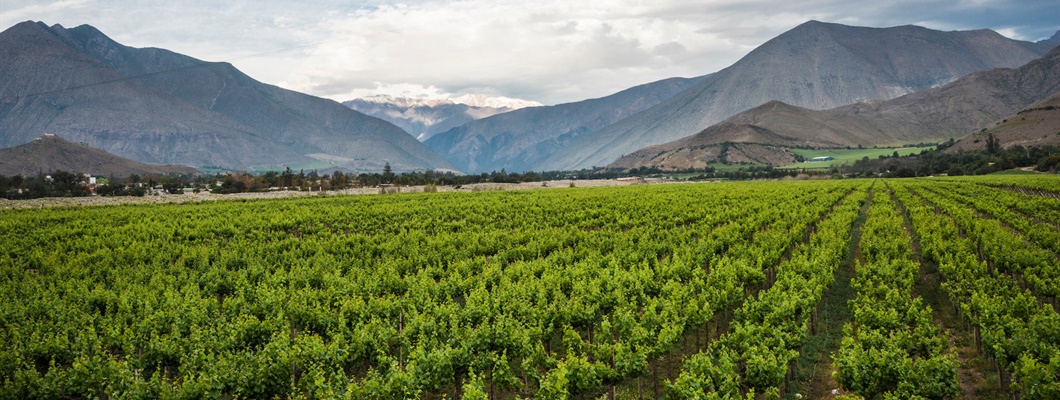 Climate and Wine: Holding On