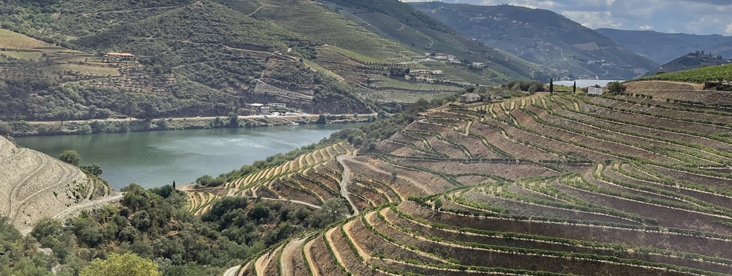 Vineyards on hills with blue sky and river in the background