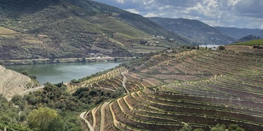 Portugal’s Treasure Trove of Native Grapes