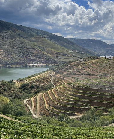 Portugal’s Treasure Trove of Native Grapes