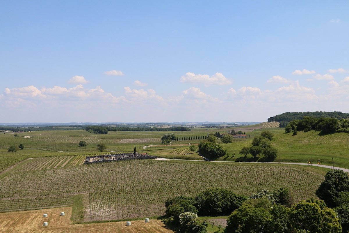 View of the Grande Champagne