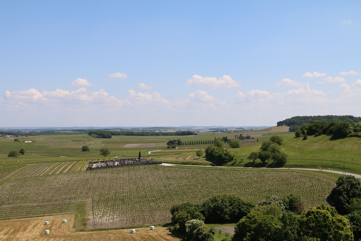 View of the Grande Champagne