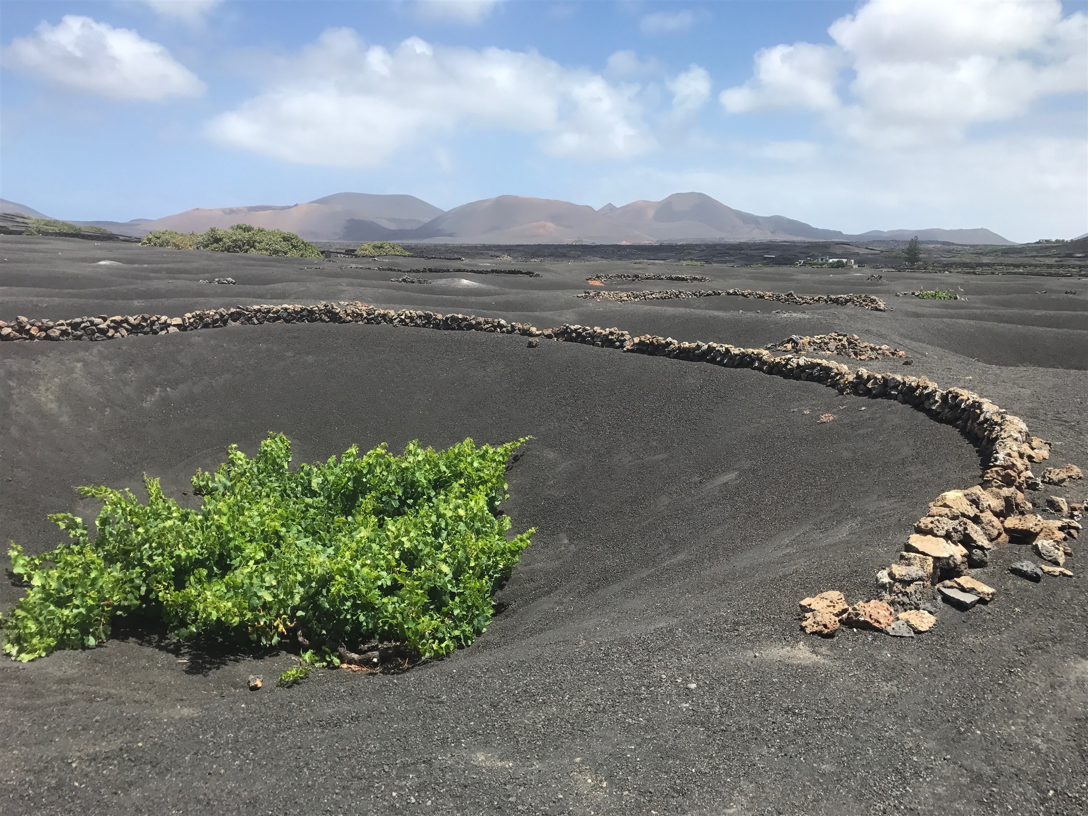 A hoyo in Lanzarote