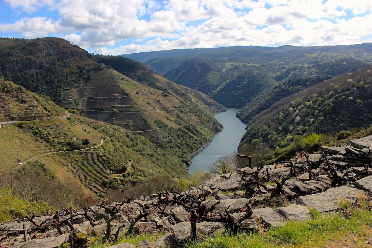 Amandi subzone in Ribeira Sacra