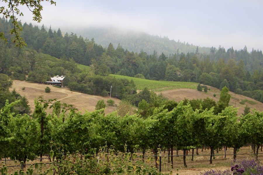 Anderson Valley