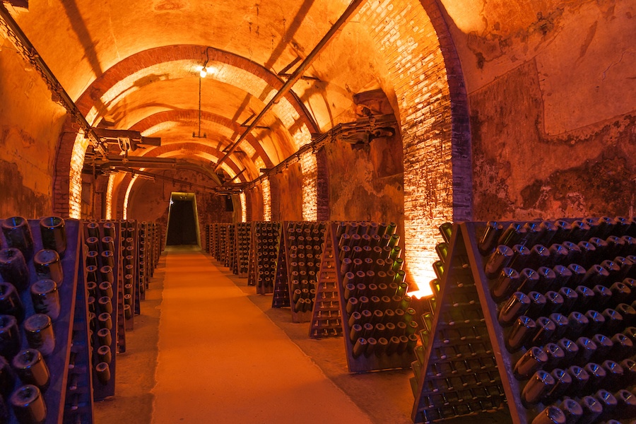 Cellar in Reims