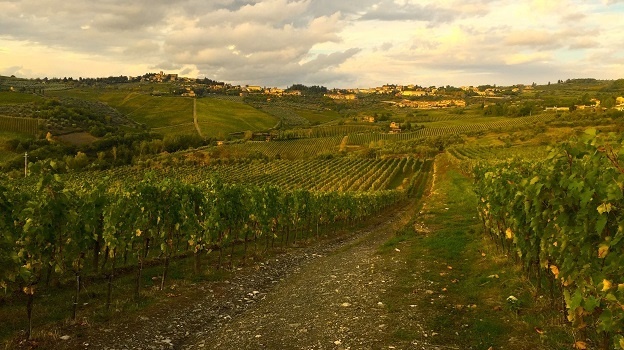 Chianti in Autumn