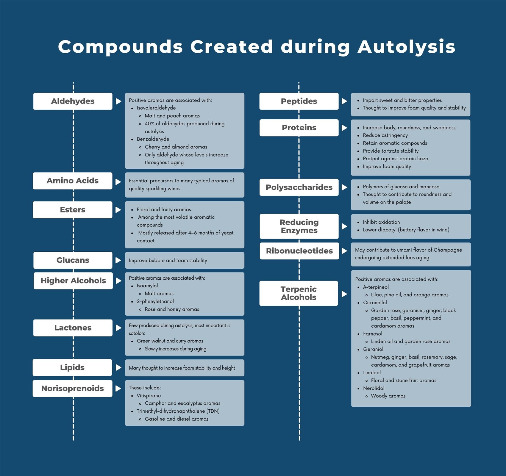 Compounds Created DuringAutolysis