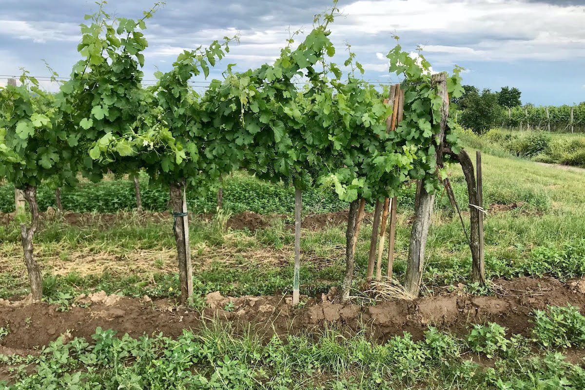 High Stake Training Andreas