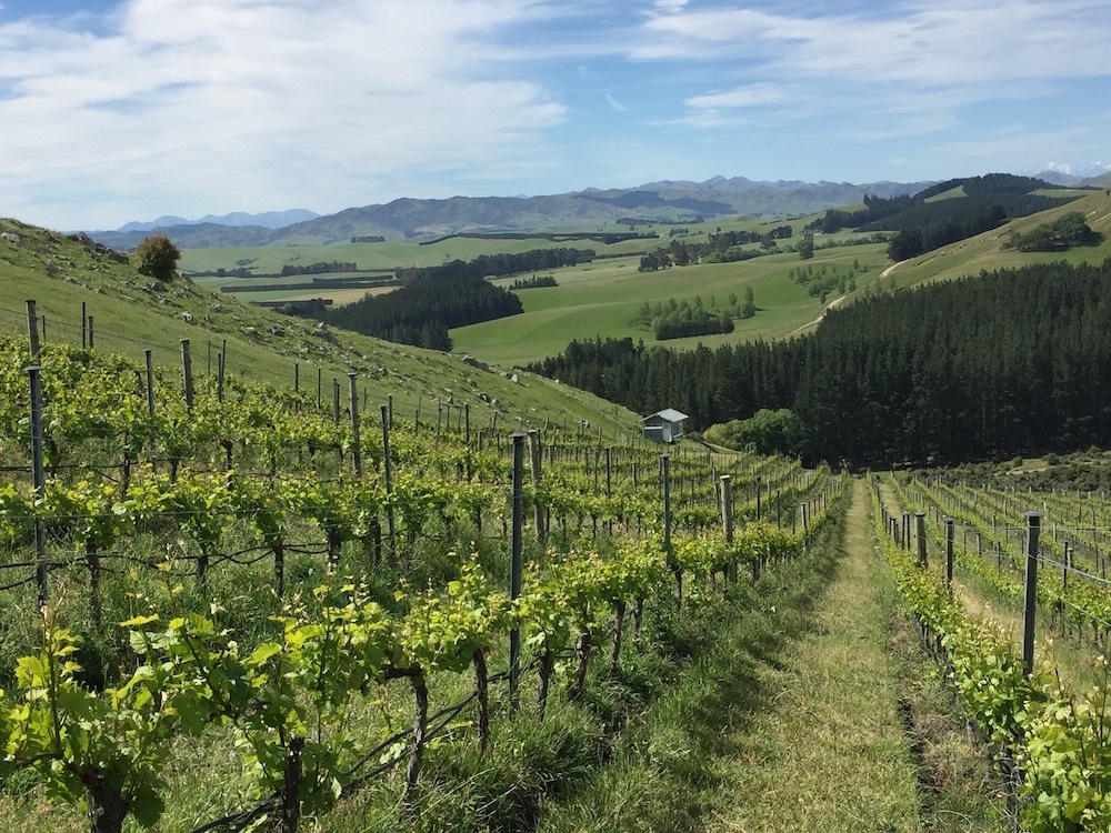 Waipara Valley
