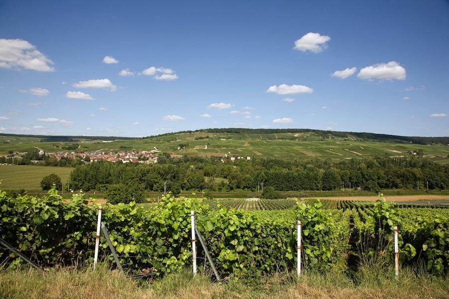 Oeuilly in the Left Bank