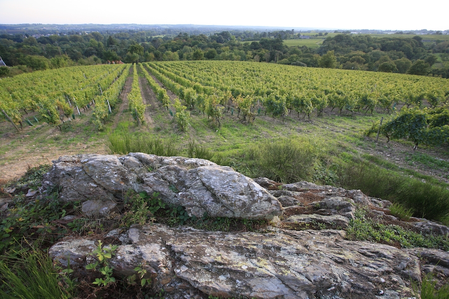 Savennières