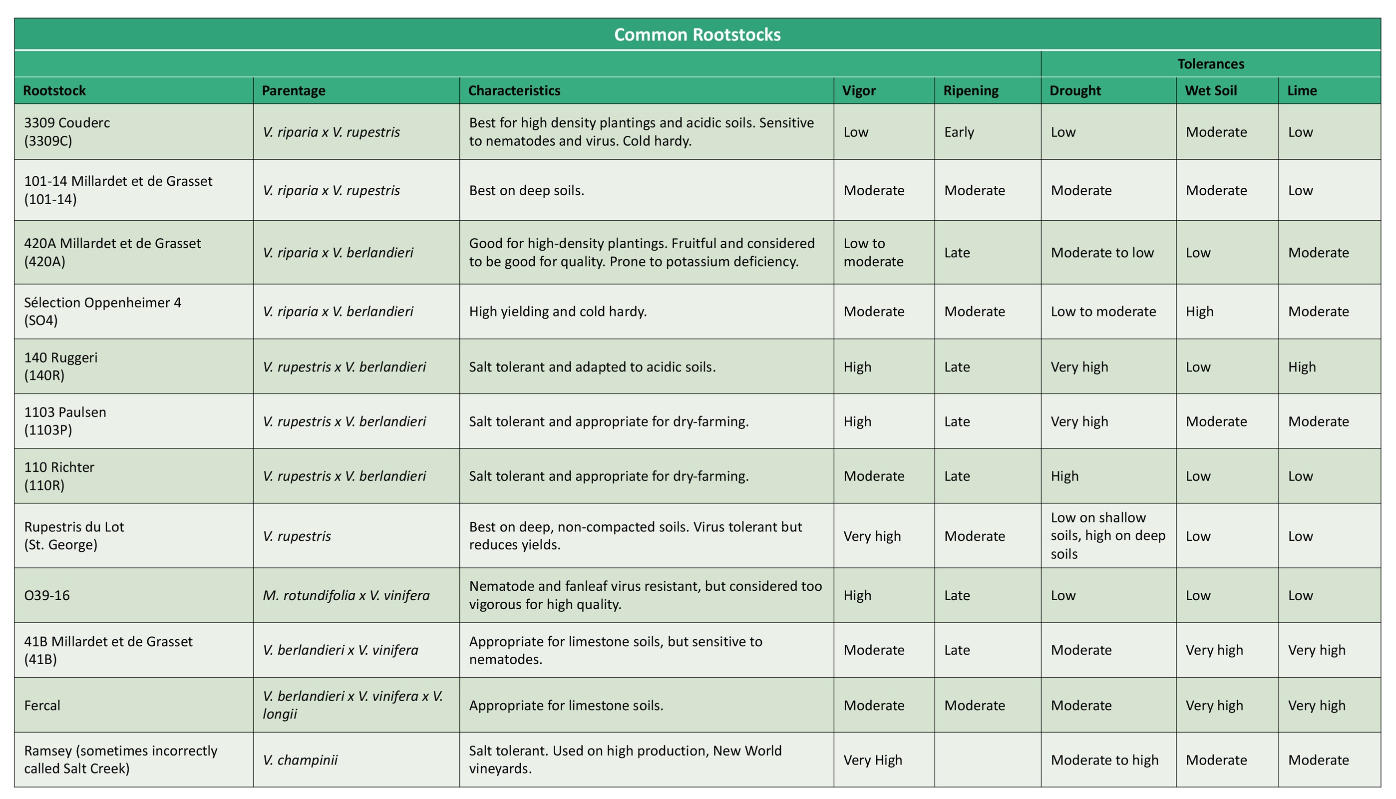 Common Rootstocks