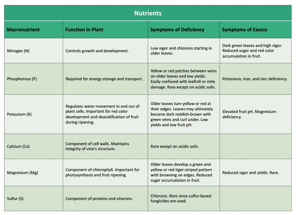 Macro Nutrients