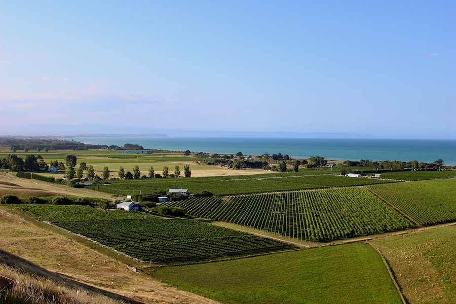 Te Awanga Estate