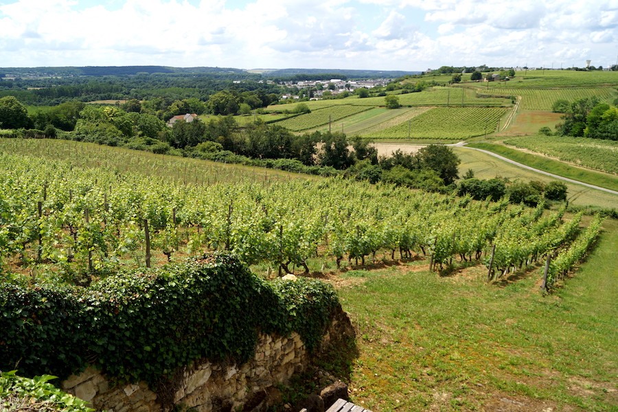 View of Chinon