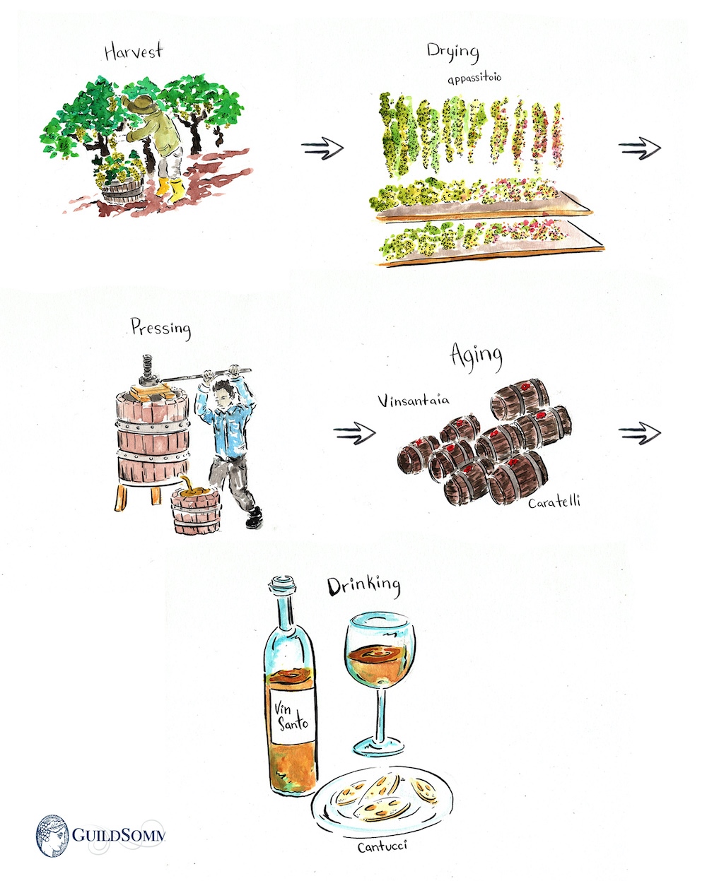 Vin Santo production