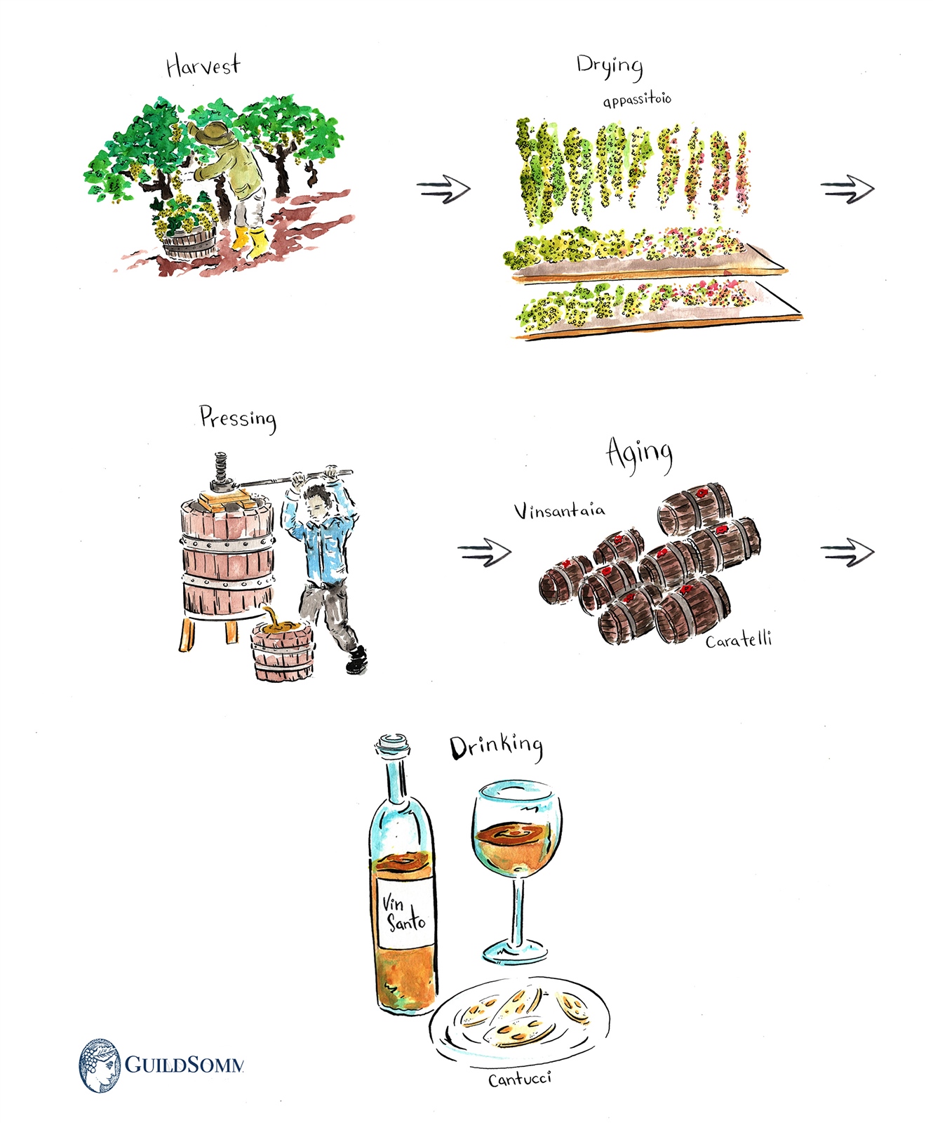 Vin Santo production