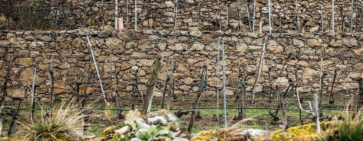 Wachau Stone Wall