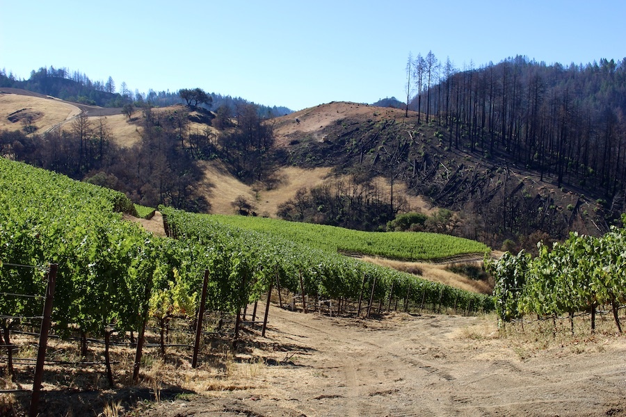 Fire Damage in the Fountaingrove District
