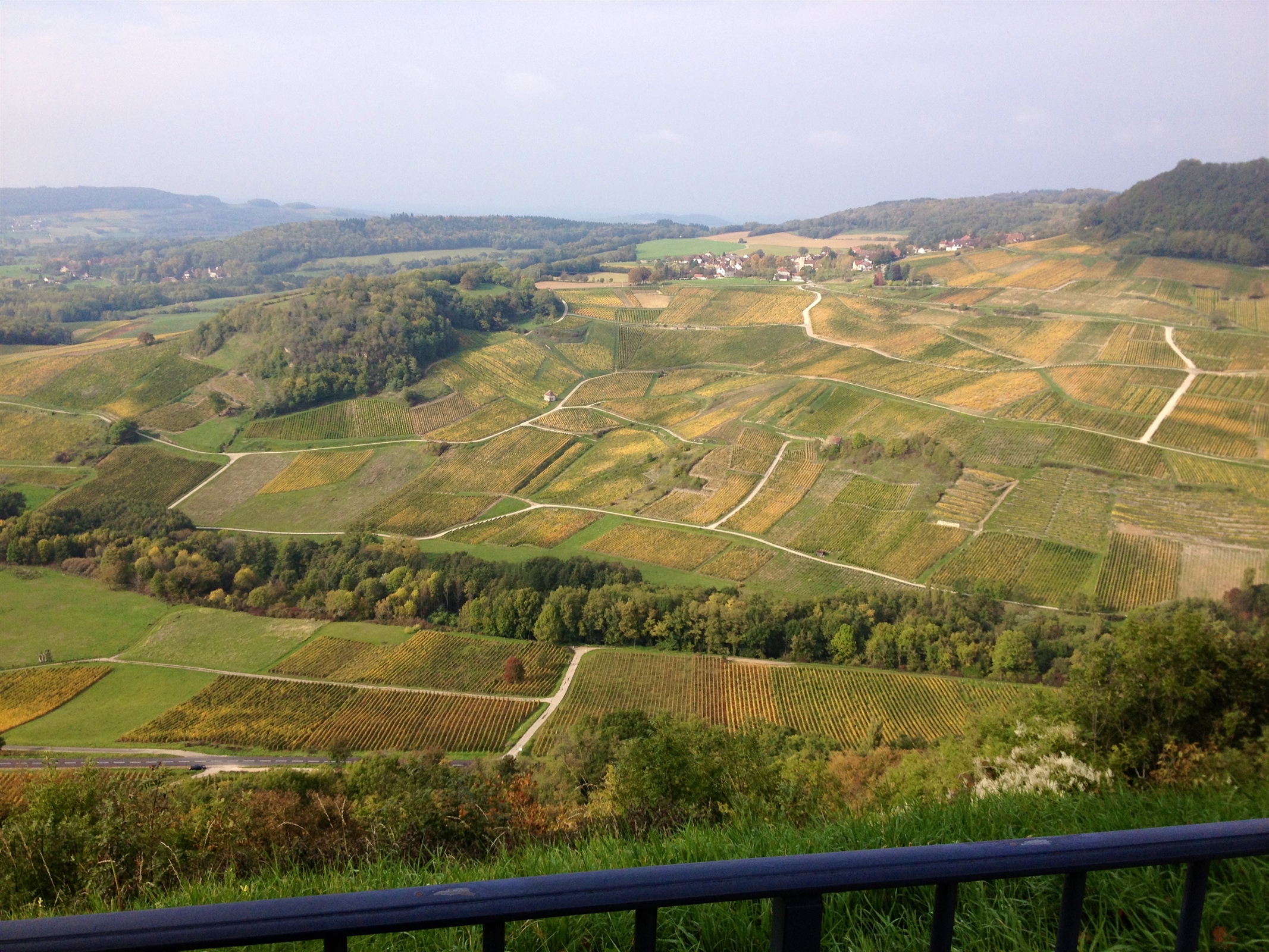 Jura Vineyards
