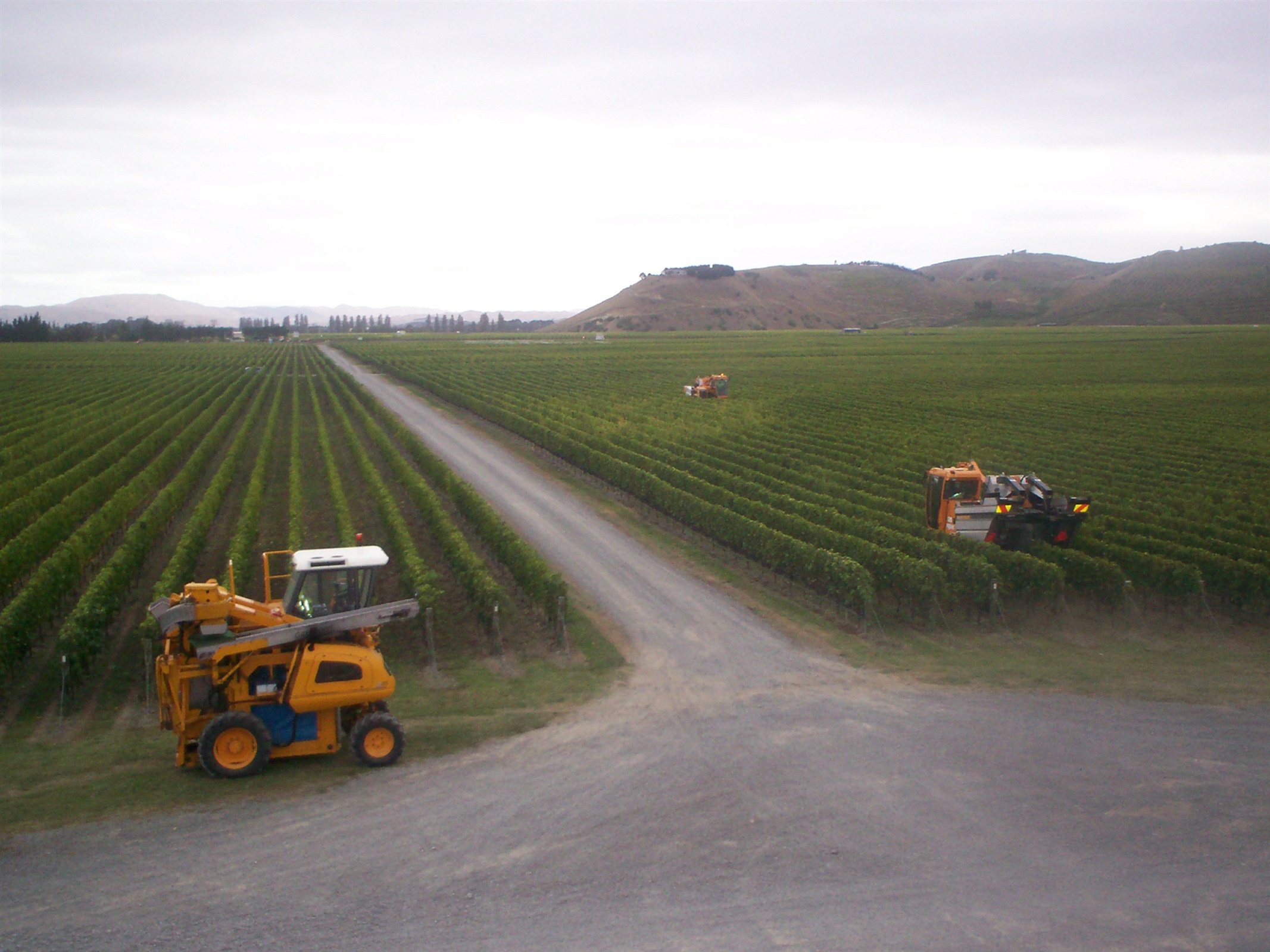 Mechanical harvesters