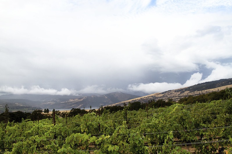 Caption Text Goes Here