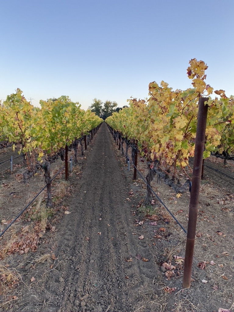 Tilled Soil