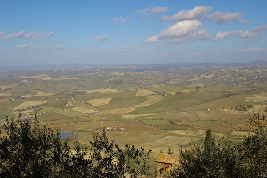 “Montalcino”