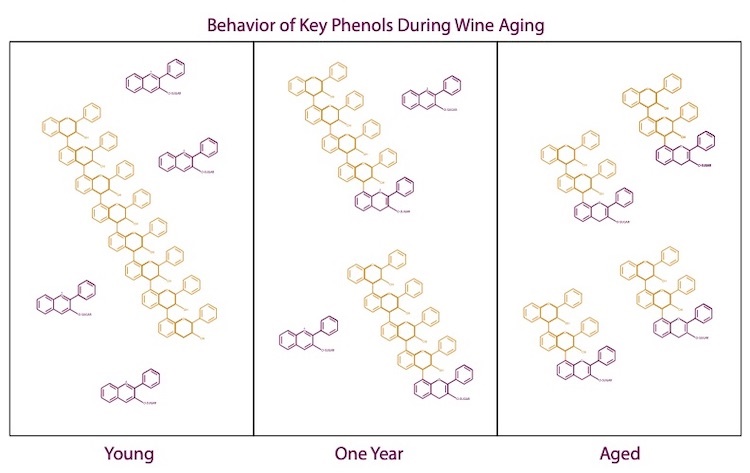 Aging Behavior