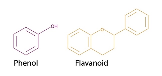 “Phenol