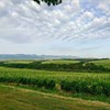 Bulgaria Revisited
