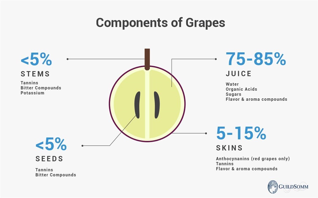 Actual percentages depend on grape variety and berry size.