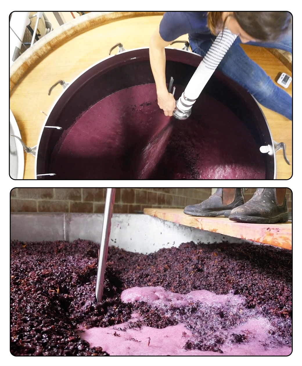 Cap management techniques include pumpovers (top) and punchdowns (bottom).