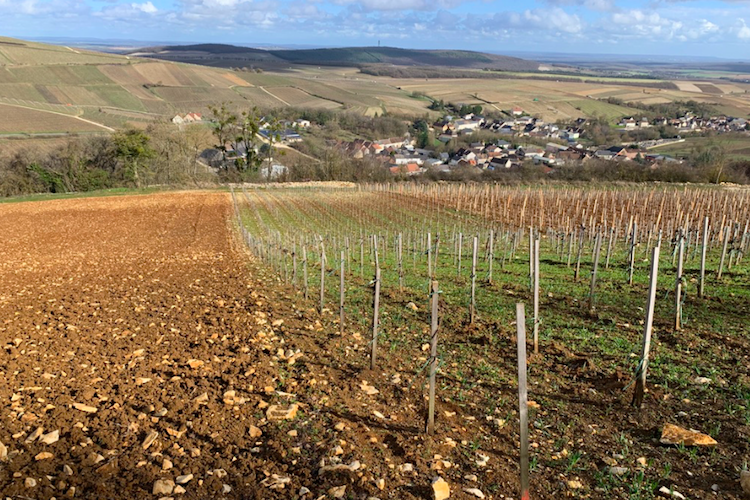 Sancerre