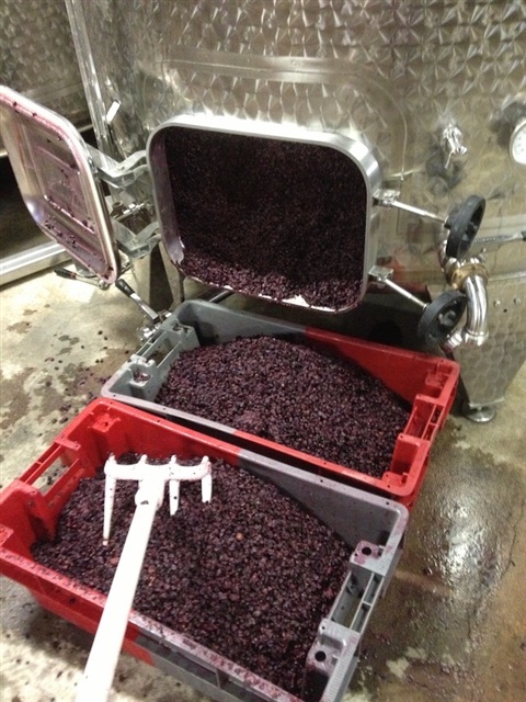 After a red fermentation is drained, the skins are transferred to the press to recover the remaining wine.