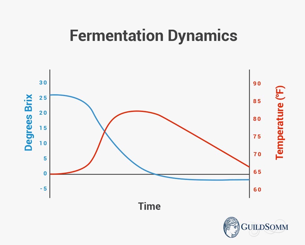 A typical Brix and temperature chart for a healthy fermentation. This type of chart is used to follow the progress of fermentation.