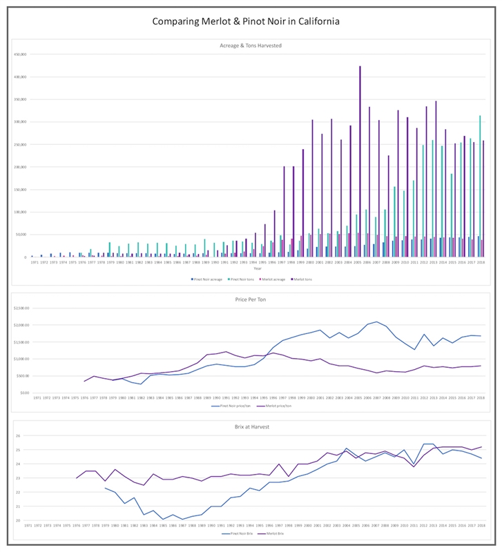 Merlot and Pinot Noir in California