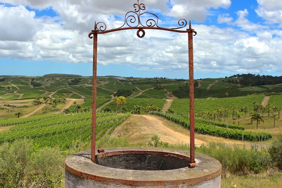 Bodega Garzon in Uruguay