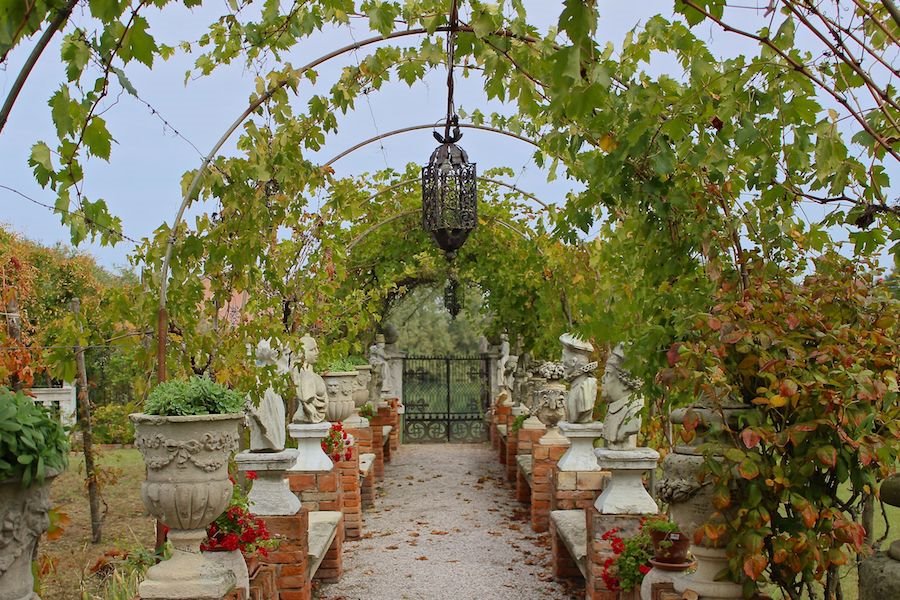 Dorona vines cover an archway on Venice