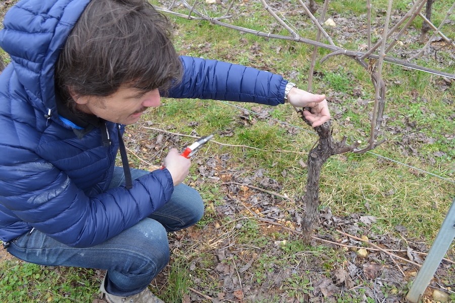 Tenuta Novare