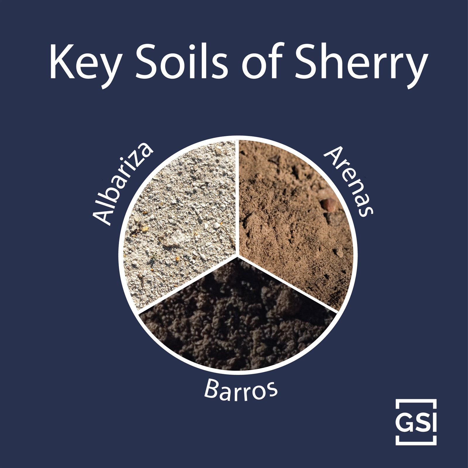 Graphic showing comparison of albariza, arenas, and barros soils