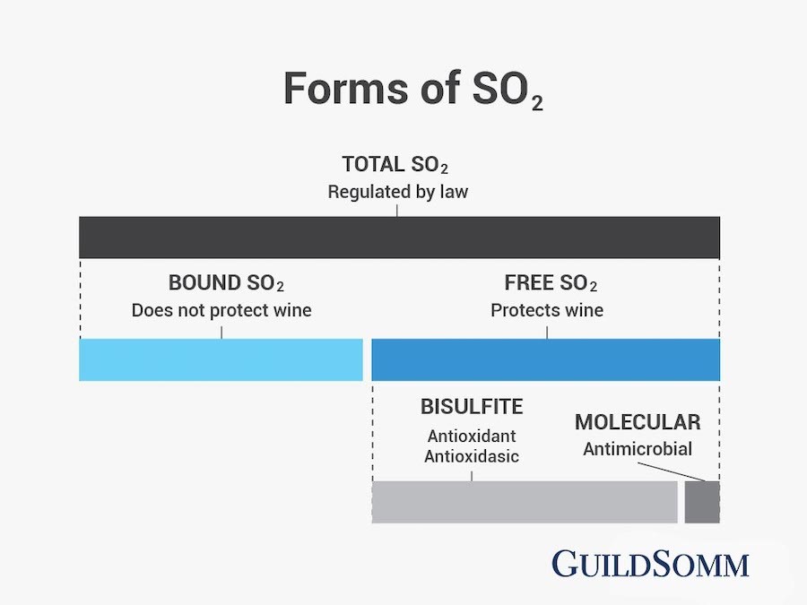Forms of SO2