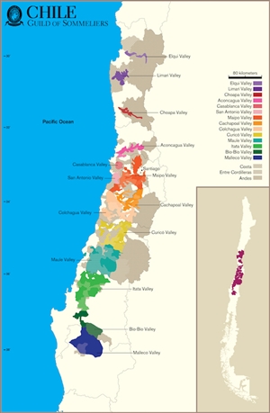 GuildSomm Chile Map